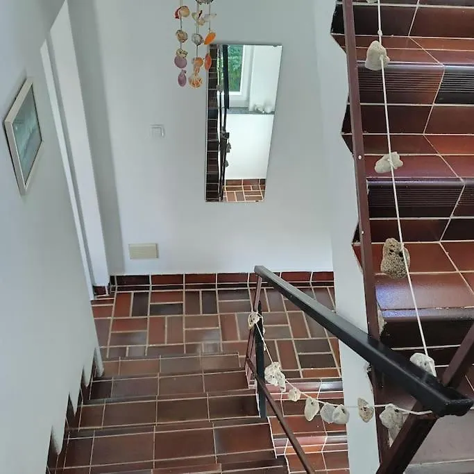 Casa de Férias Casa Soraia Nell'Isola Dei Sogni Vila Mali Lošinj Croácia