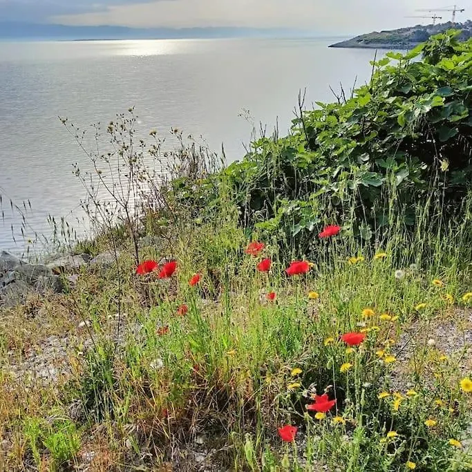 Casa Soraia Nell'Isola Dei Sogni Vila Mali Lošinj Casa de Férias
